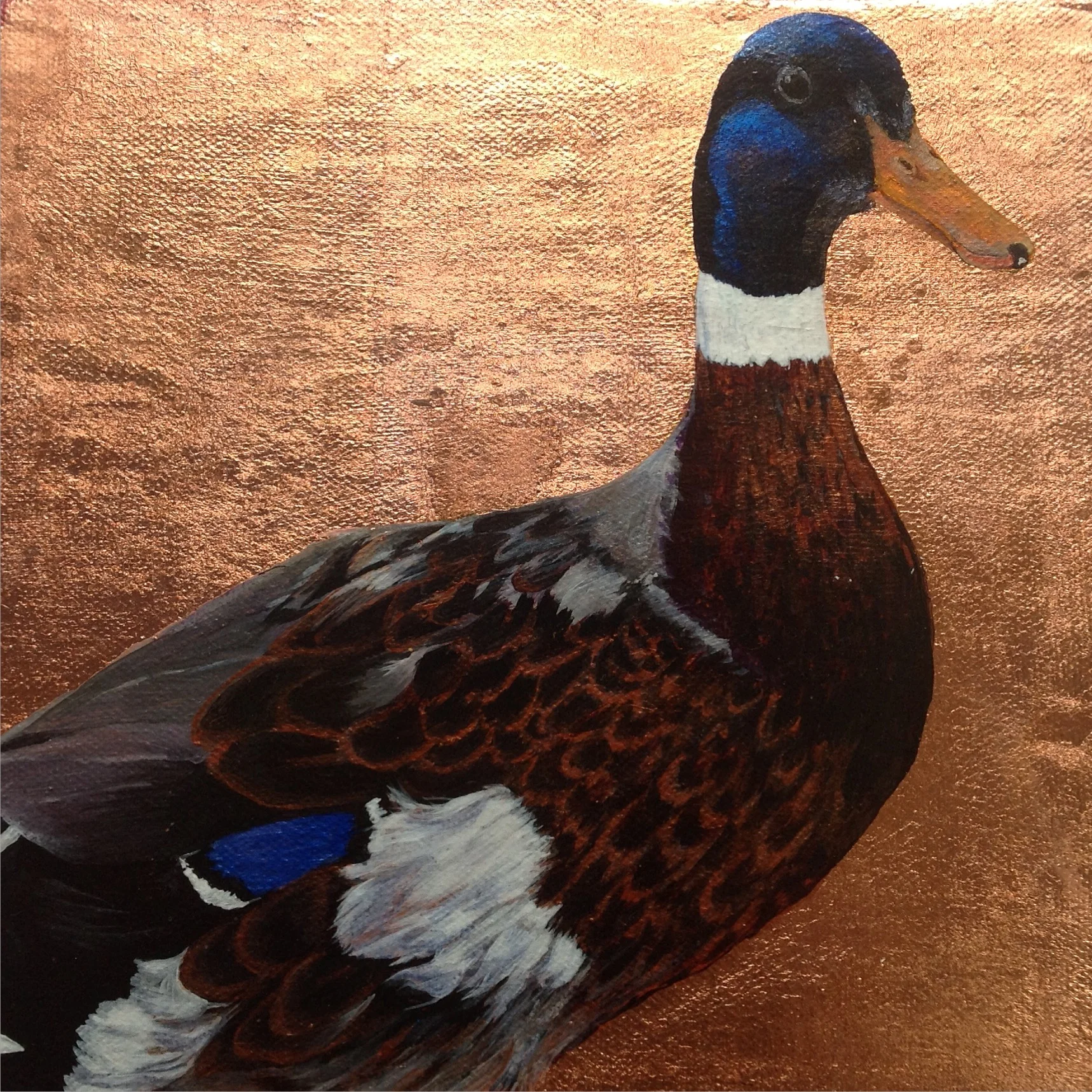 Proud Rouen Duck