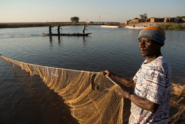 Government Lifts Fish Ban Following Cholera Outbreak 