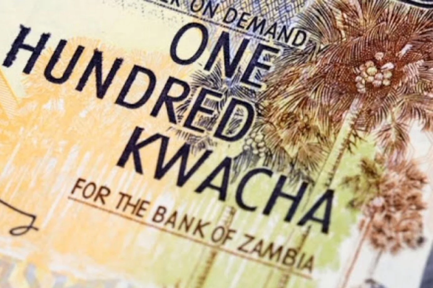 International Community Increasingly Concerned About Zambia's Hidden Debt