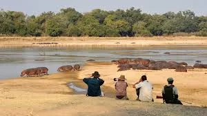 Zambia tourism numbers collapsing