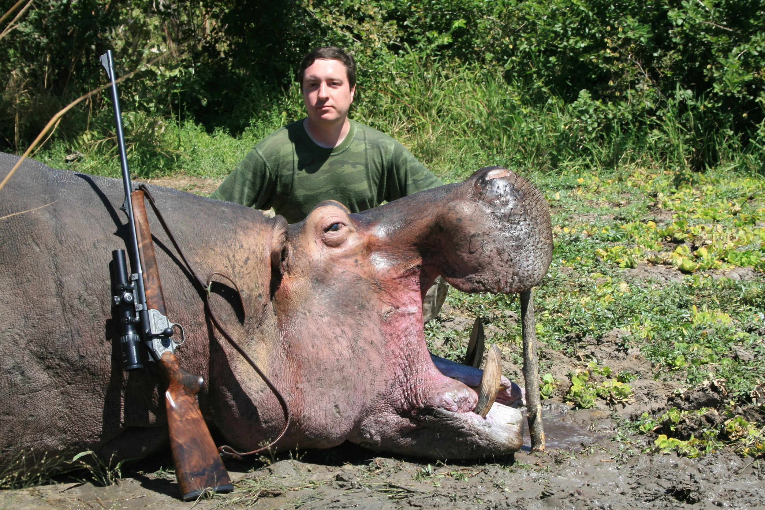 The Hippo Slaughter Continues - K150,000 Per Animal 