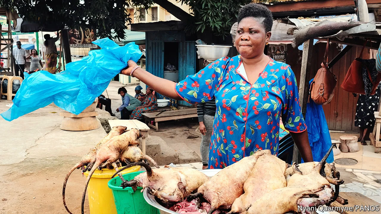 Women Being Used for Illegal Wildlife Trade