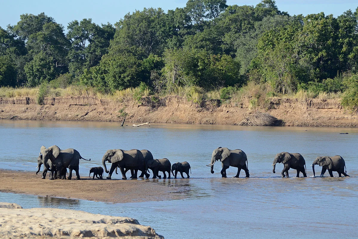 Zambian Tourism On The Up
