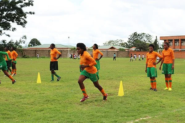 FAZ urges Shepolopolo to focus on AWC