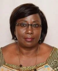 Emerine Kabanshi was not dismissed because of the £2.7 million -Amos Chanda