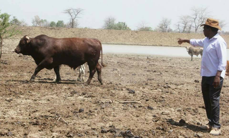&nbsp;Food supply crises looms over Africa unless we address environmental issues