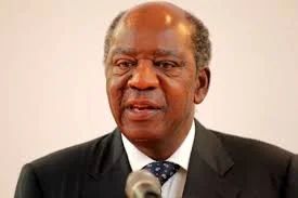 Delaying IMF bailout could affect economy’s resilience, warns Chikwanda