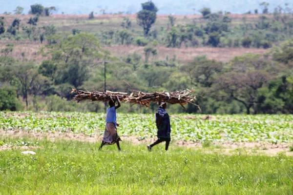 small-farmers.jpg