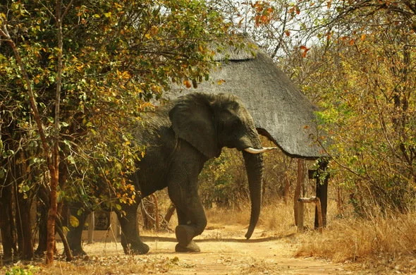 Government Agree to Open 10 Community Game Reserves 