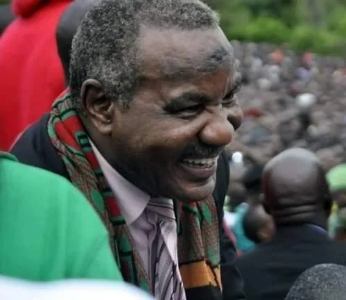 Former Vice-President Lupando Mwape Passes Away 