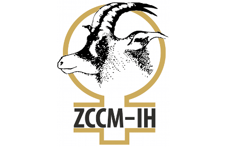 Government Yet to Decide on ZCCM-IH Share Sale 