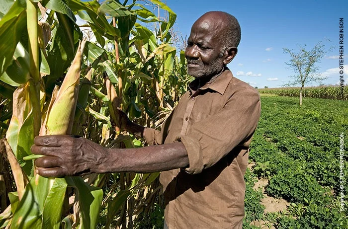 Zambia Must Act To Avoid Climate Change Disaster