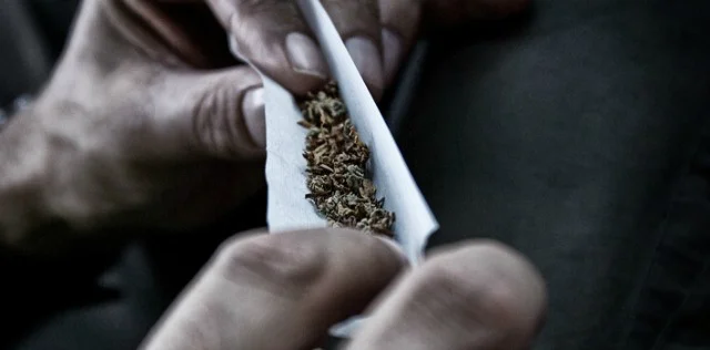 The Drug Enforcement Commission arrests 4 Mafinga Farmers  for cultivating 13 tonnes of Cannabis