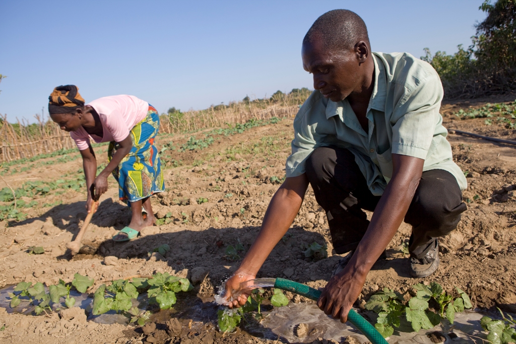 Poland to Support Zambia in Fight Against Climate Change 