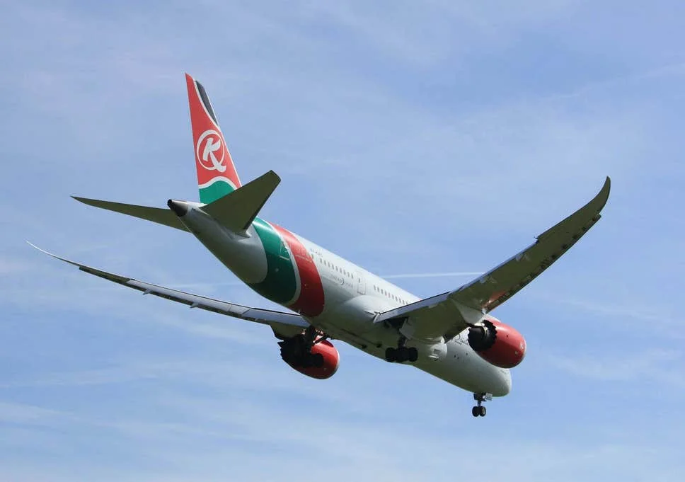 Man who fell from Kenya Airways plane 'could be Nairobi airport employee'