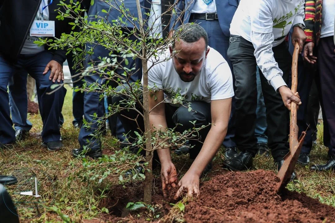 Ethiopia 'breaks' tree-planting record to tackle climate change