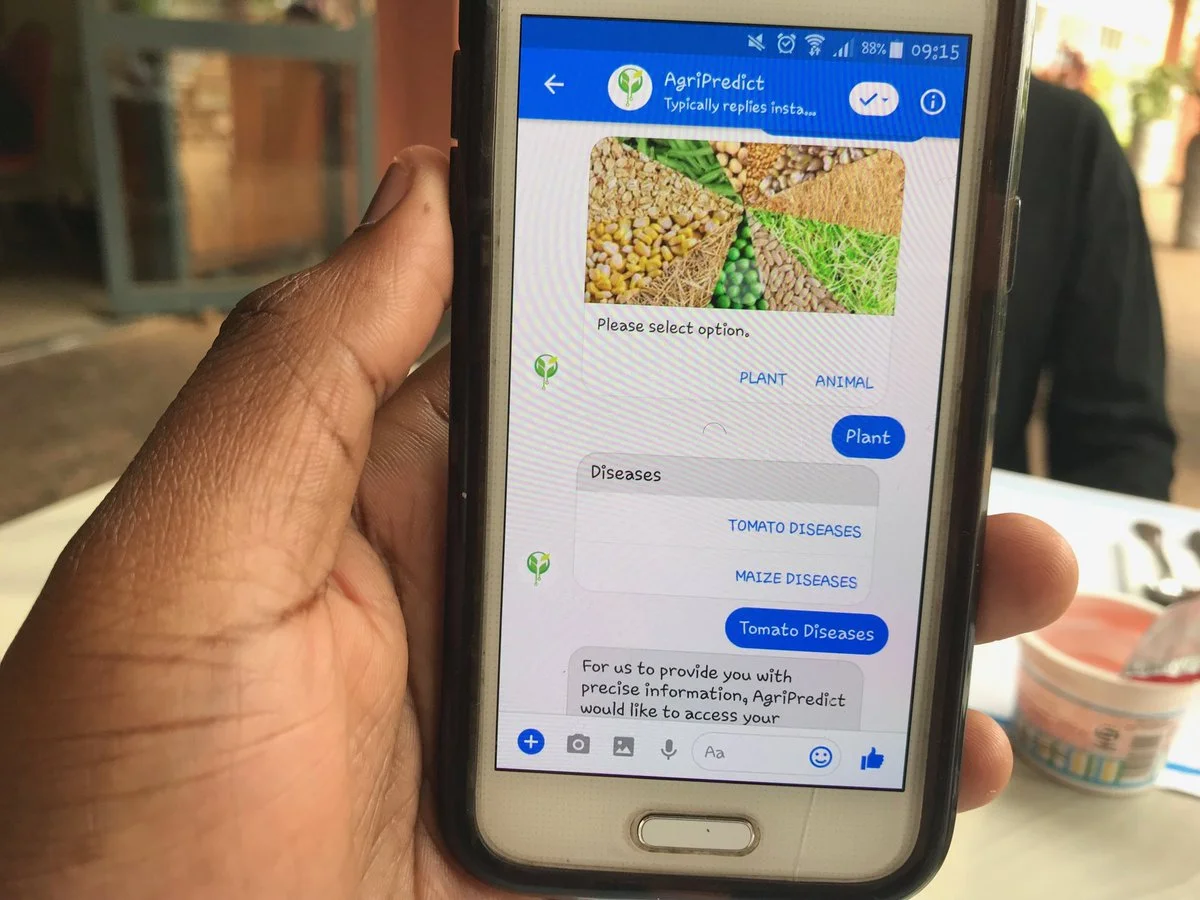 The Zambian agri-tech app making farming cool