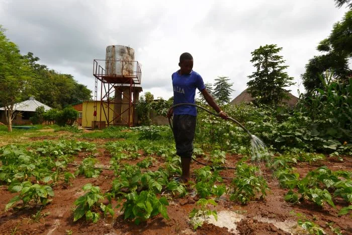 Normal to above normal rains forecast for Zambia