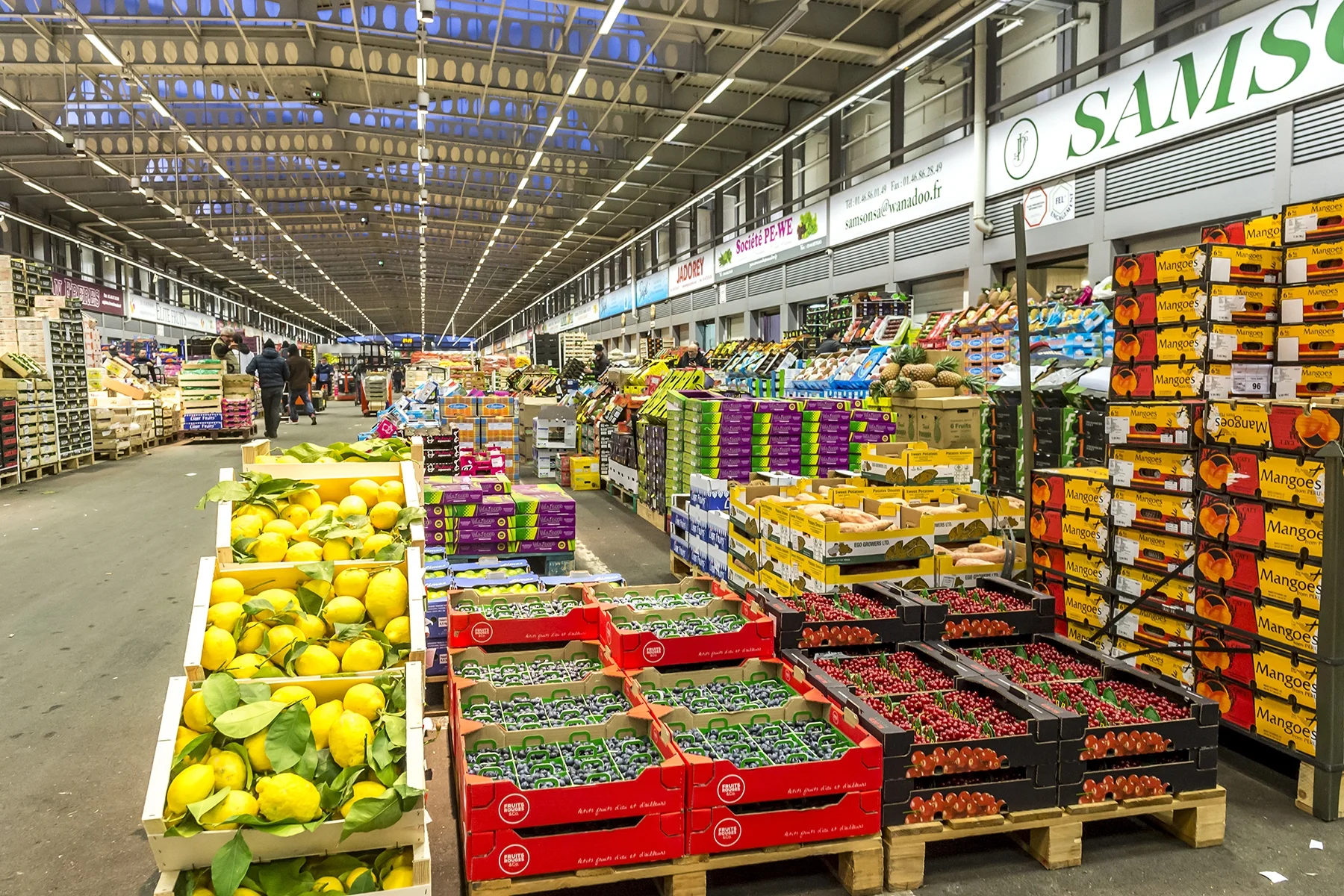 France’s largest fresh produce market pledges to partner with Zambian farmers