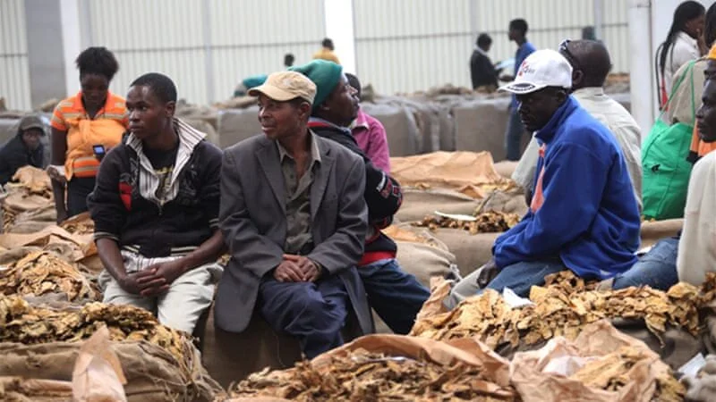 Food Situation in Zambia On Verge of a Crisis