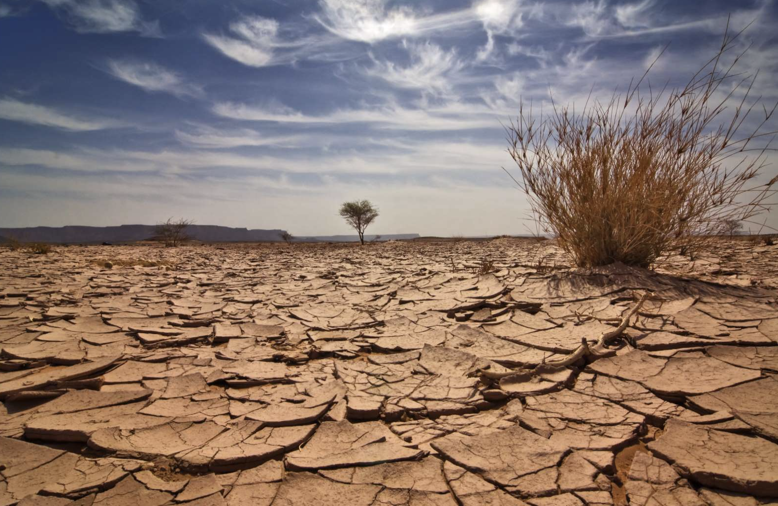 Zambia facing one of its worst droughts in decades