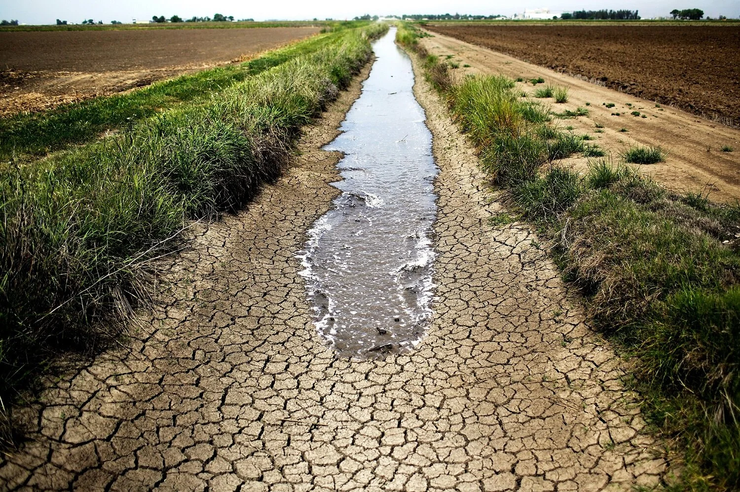 2.3m Zambians Affected By Last Years Drought