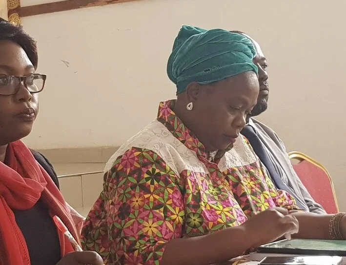 Electoral Commission Schedules Local Government By-Elections for June 