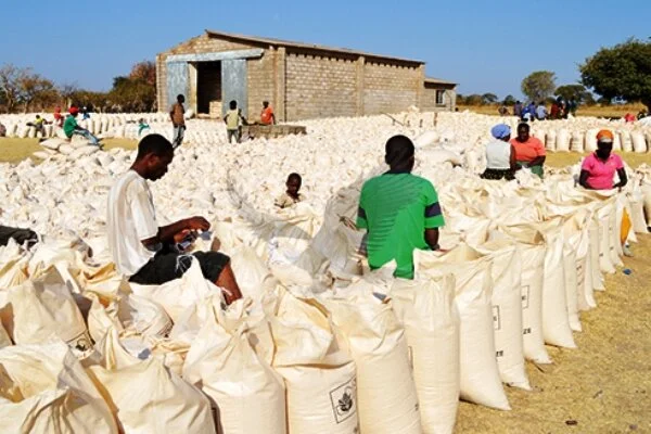 FRA To Buy One Million Tonnes Maize At K110 For 50kg 