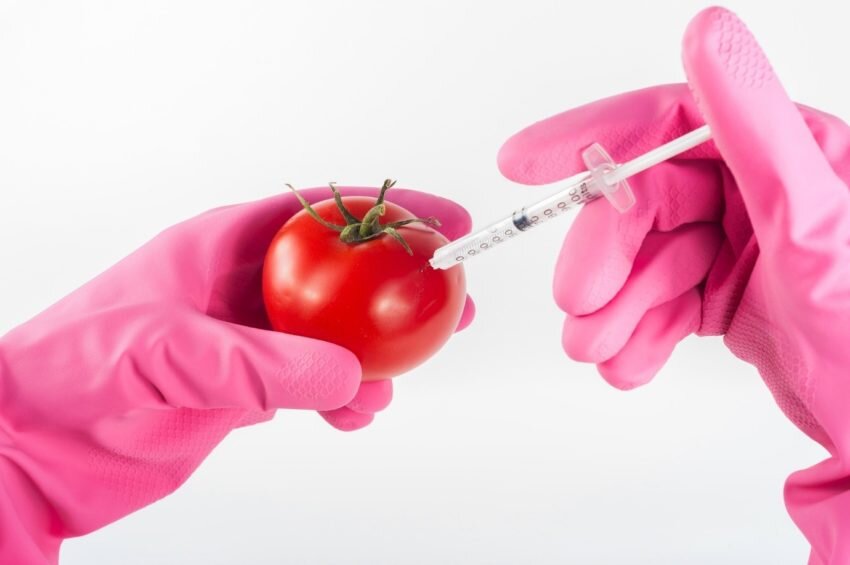 GMO Food Producers Urged To Adhere To Safety Standards 