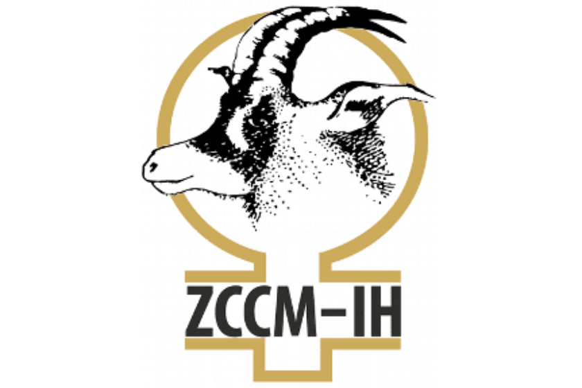 ZCCM-IH Will Become More Active Investor In Mining Sector