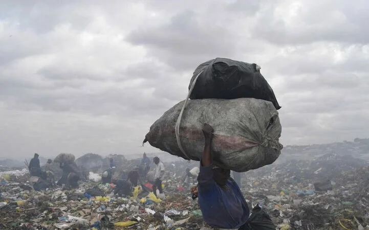 UNDP Innovation Challenge To Provide Sustainable Waste Management Solutions