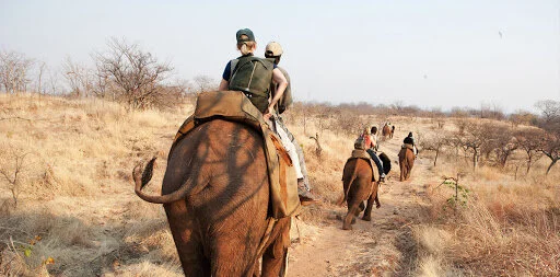 World Bank Allocates $2.8M for Zambian Tourism Development