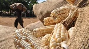 Farmers Must Not Be Forced To Sell Their Maize To FRA - UPND