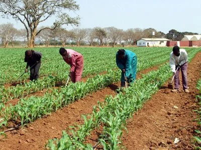 President Lungu Appeals To Financial Institutions Not To Pressurize Defaulting Farmers