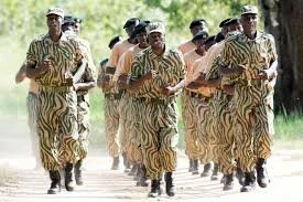 British Army Trains Zambians In Anti-Poaching Tactics 