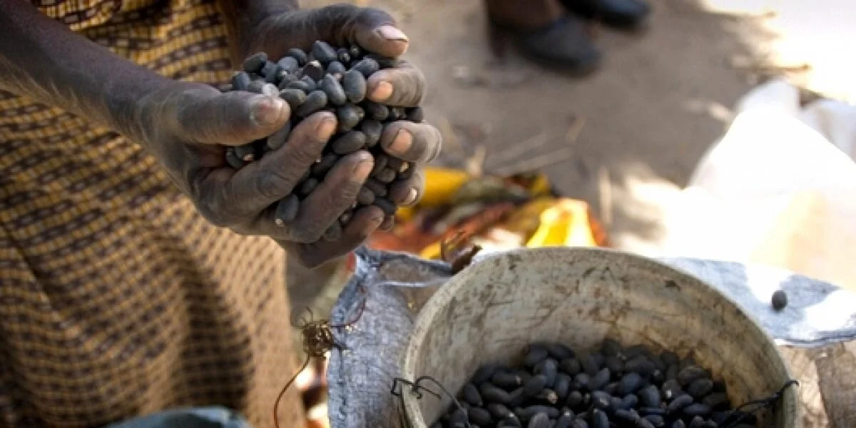 Brazil Recognises Zambia For Enhanced Biofuel Trade