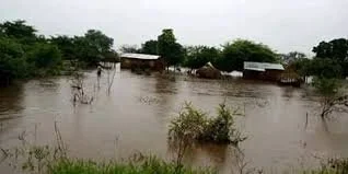 Hunger Looms In Kalabo As 100 Hectares Of Maize Fields Submerged