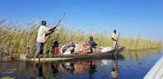 Shibuyunji Traders Defy Fish Ban