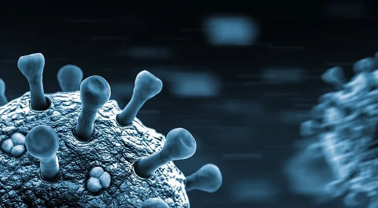 COVID-19 Deaths Reach New High