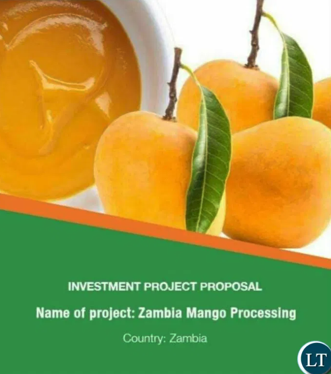 Zambia Development Agency Seeks Investors Amidst Debt Crisis