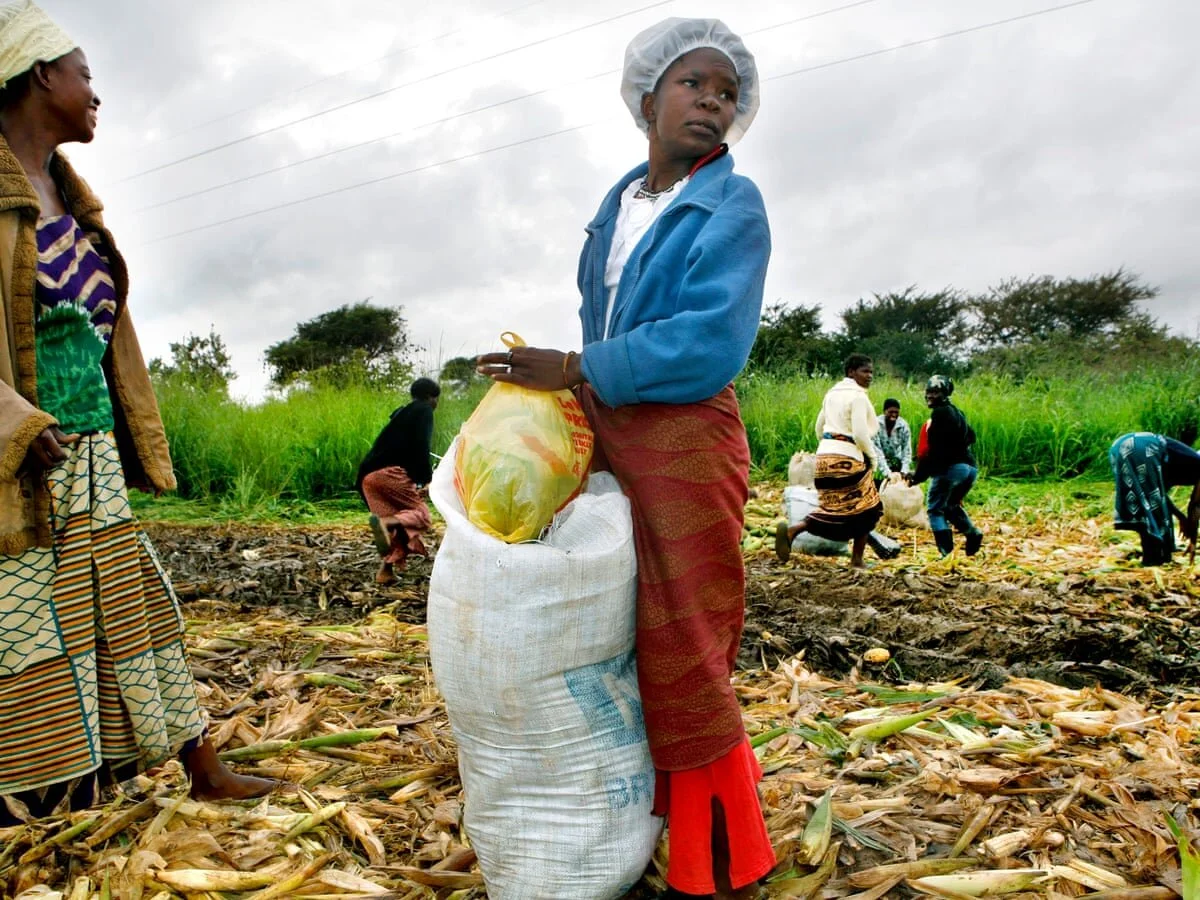 Agriculture Information Key To Women Succeeding In Business – NGO