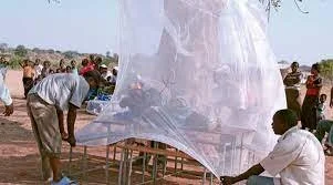 Malaria Still Number One Killer In Zambia