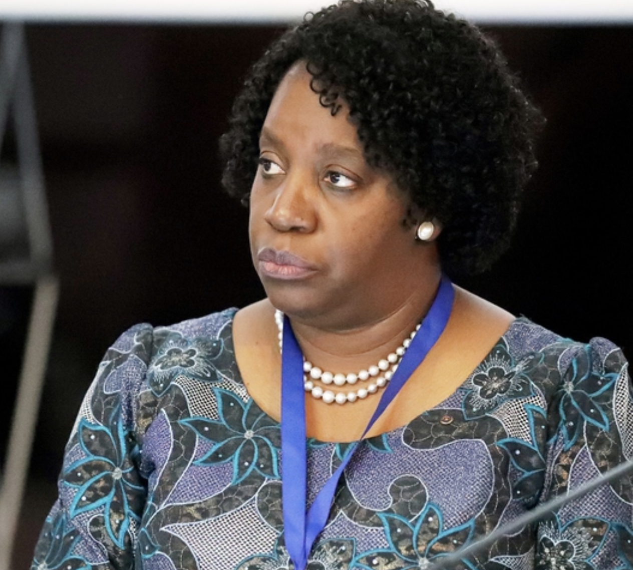 Budget Should Support Regional Trade – COMESA