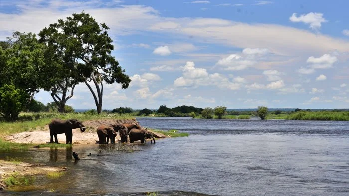British Teen Attacked By Croc In Zambia