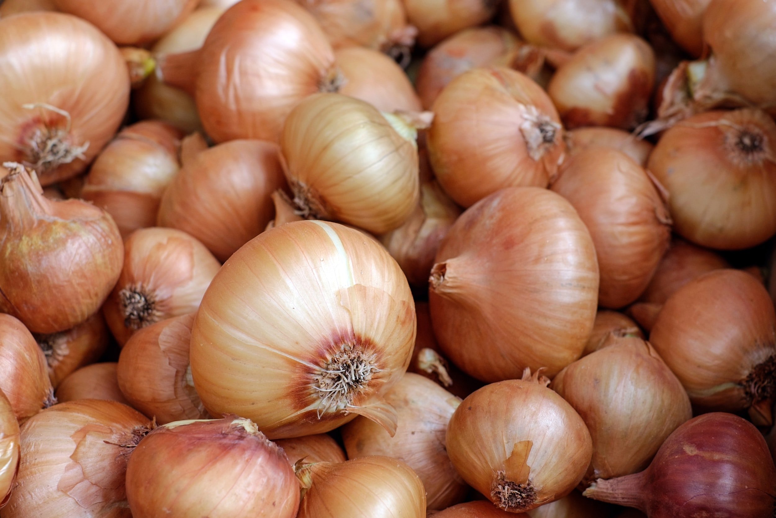 Government Agrees To Suspend Importation Of Onions And Potatoes Into Zambia 