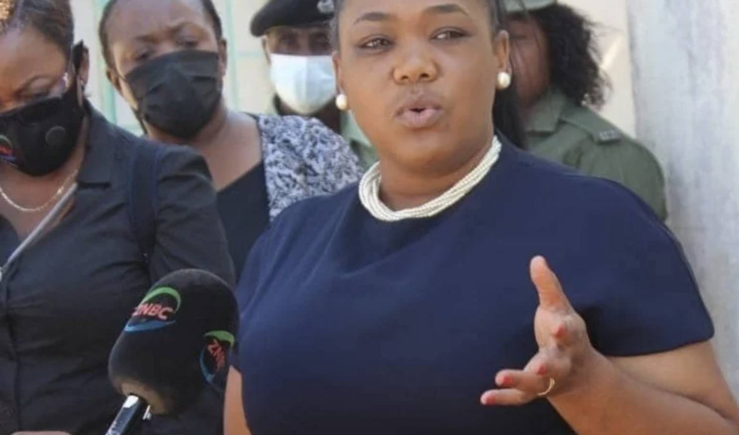 Government Confirms Food Security With Mealie Prices Set To Fall