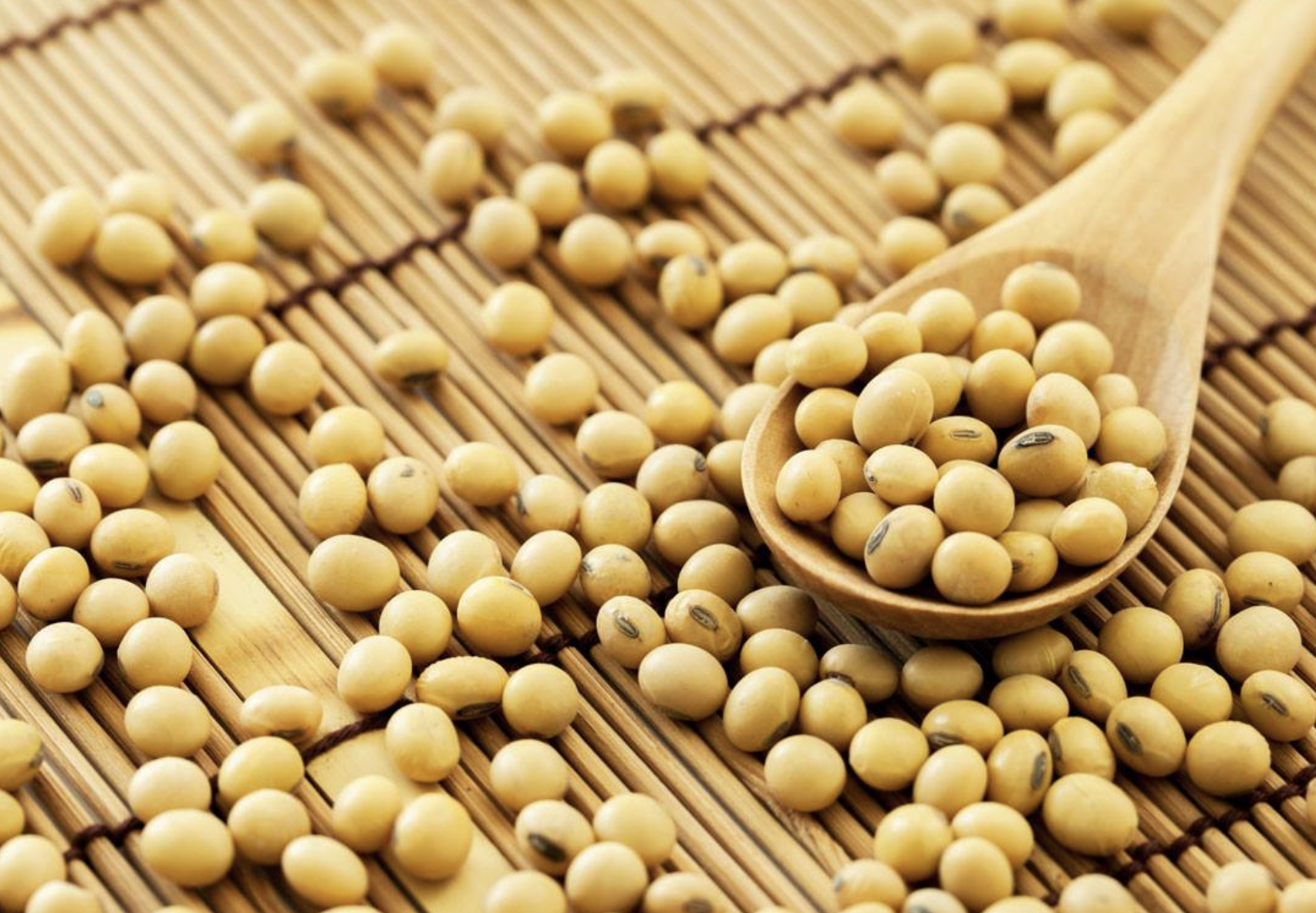 Memorandum of Understanding Sealed With China On Exports 