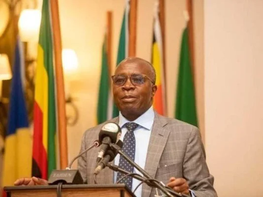 Zambia’s Energy Sector Attractive to Private Investors – Finance Minister 