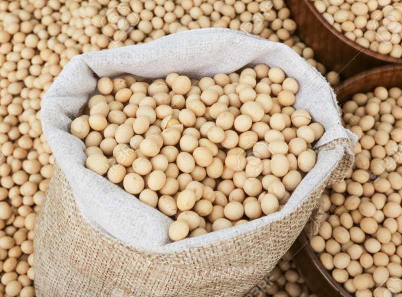 Zambian-born CEO Praises Agribusiness Potential Of Zambia’s Soya 