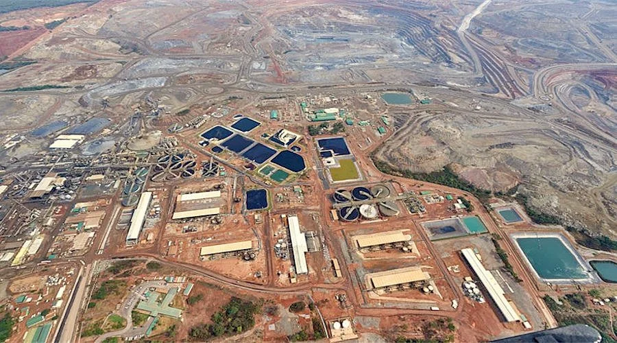 U.S. Global Investors CEO praises Hichilema’s business approach
